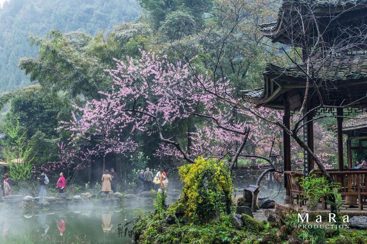 神秘侦探